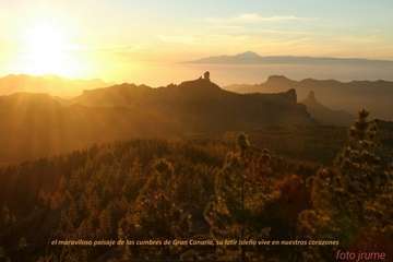 Los antiguos alumnos del Instituto Laboral de Telde renuevan su amistad tras la pandemia/Jesús Ruiz Mesa.